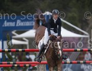 Clayton Mr Darcy TosTour 2013- S5 7262 : Arezzo Equestrian Centre, Clayton Joseph, Mr Darcy, Toscana Tour 2013, foto di Stefano Secchi ©